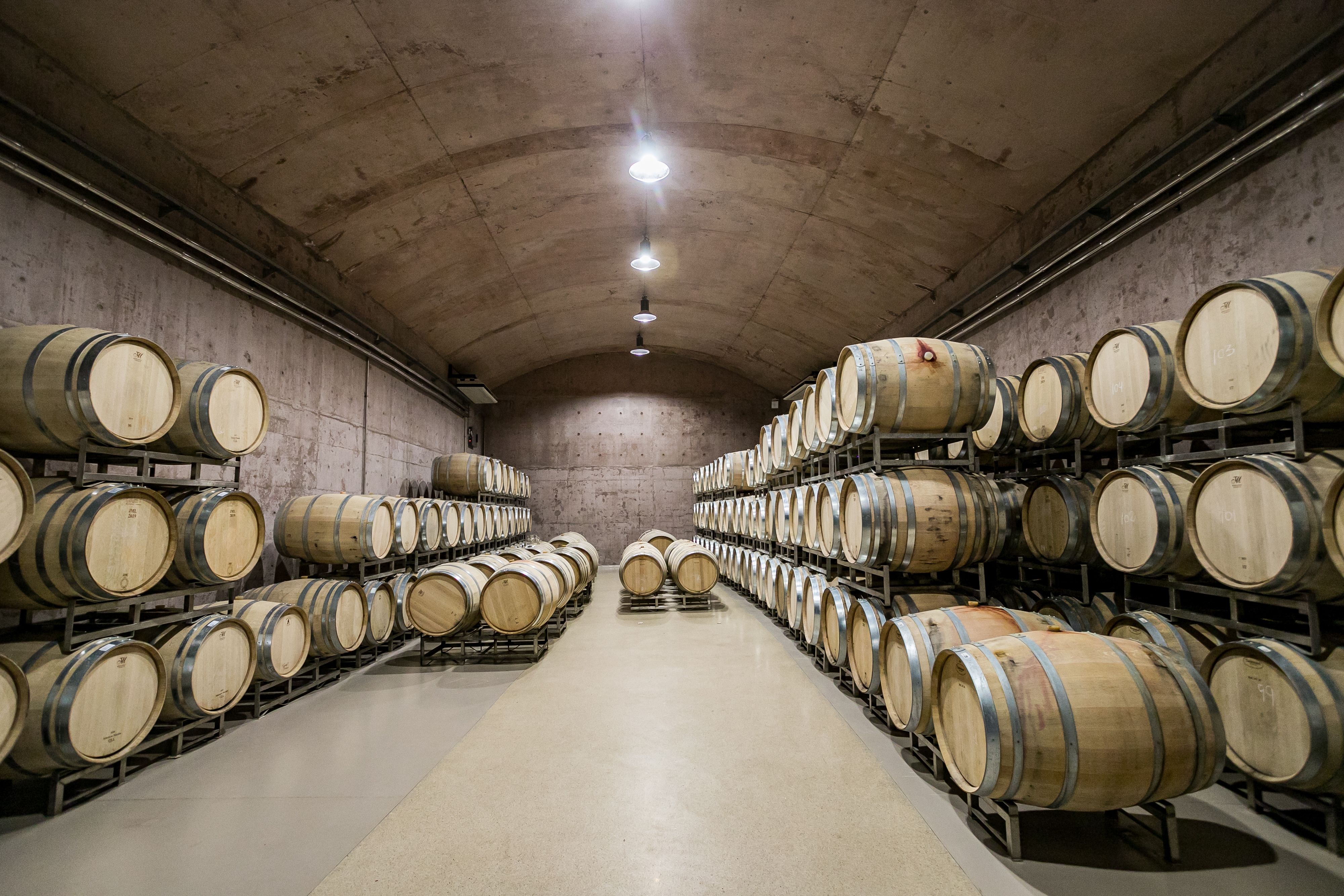 Sala de barricas de roble francés en la bodega