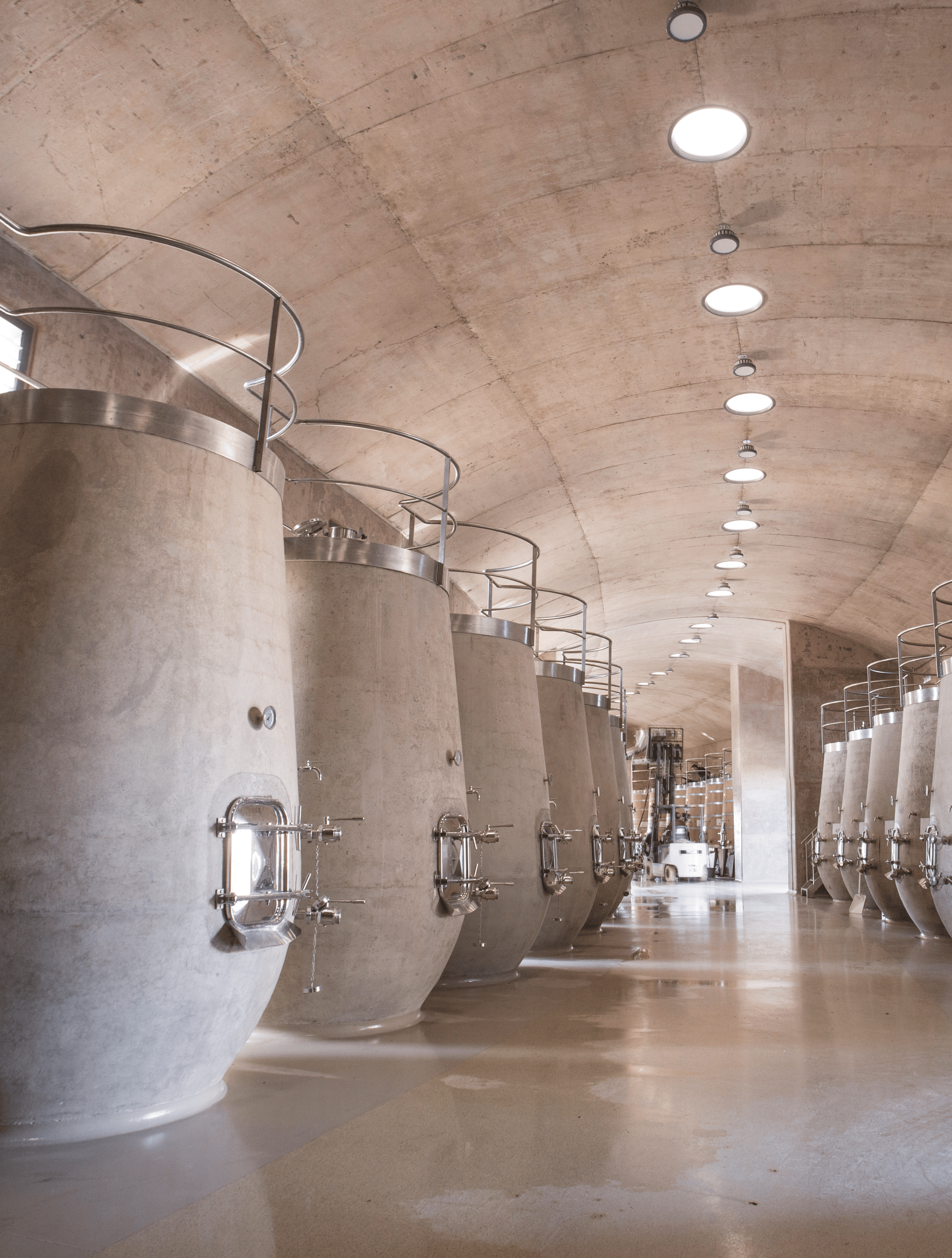 Vasijas de concreto en la nave abovedada de la bodega